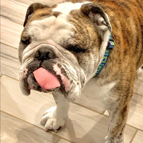 Meet your Posher, Tammy - Picture 8 of 8